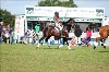 UKPA NC SAT_2299